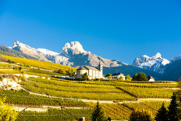 vineyards below church at Conthey, Sion region, canton Valais, S - obrazy, fototapety, plakaty