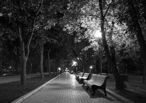 Night Park black white