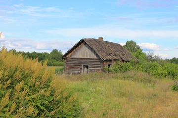 Fototapeta na wymiar Разрушенный дом в заброшенной деревне на поле летом