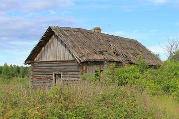 Fototapeta na wymiar Разрушенный дом в заброшенной деревне на поле летом
