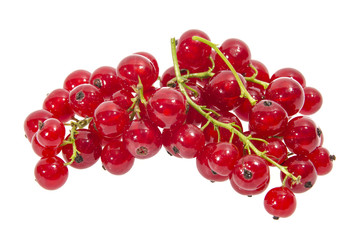 Red currant