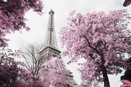 Eiffel tower