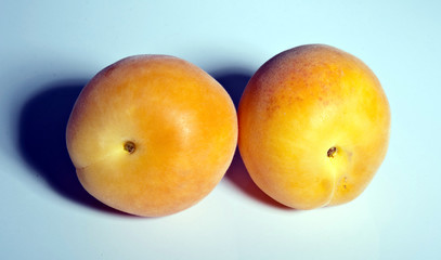 Aprikosen im blauen Licht