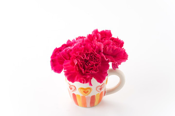 Obraz premium red carnations flower