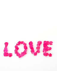 love wording by red carnations petal