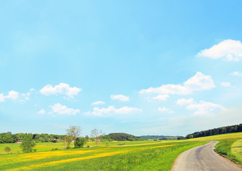 Ländliche Gegend mit Butterblumenwiese und blauem Himmel
