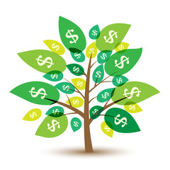 money tree