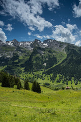 Fototapeta na wymiar alpine landscape in french alps