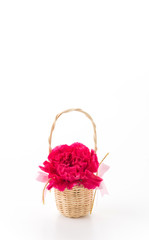 Fototapeta na wymiar red carnations flower