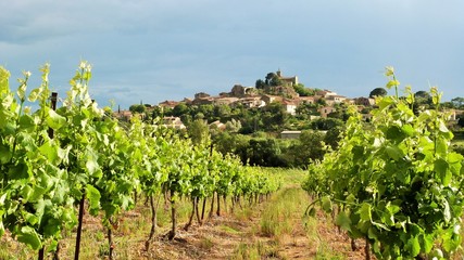 Fototapeta na wymiar village viticole français