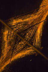 Sonnenwendfeuer im Wasser