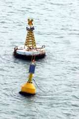 una boa in mezzo al mare