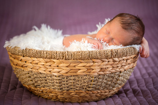 Newborn in basket new arrivals