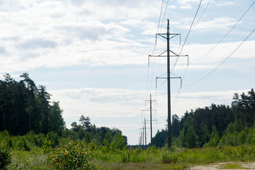 power line in the woods