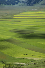 Obraz premium val d'orcia