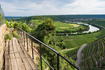 Fototapeta na wymiar Mundelsheim am Neckar