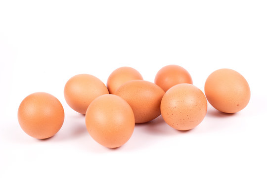 Eier freigestellt 