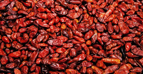 Red chili peppers