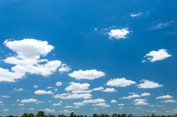 Blue sky and cloud over the trees