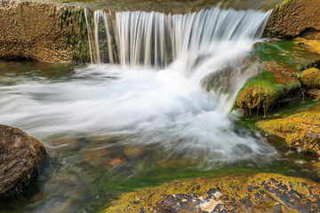 Fototapeta premium brook