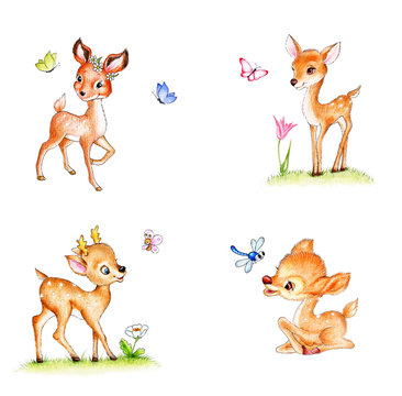 Set of four cute fawns