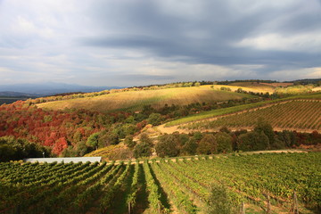 Fototapeta na wymiar Toscana,Grosseto,il paese di Campagnatico.