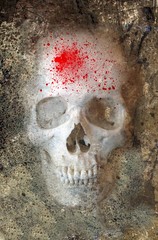 Skull With Blood Spatter Embedded in Rock