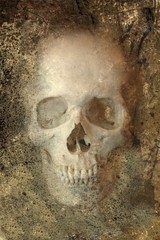 Naklejka premium Grinning Skull Embedded in Rock