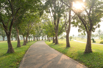 Trees and walkway on green grass field in the park at morning.