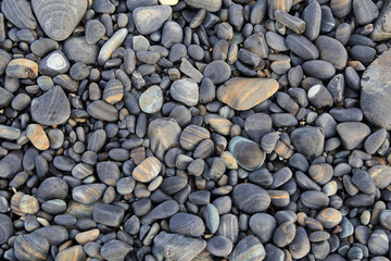 Colorful pebbles touching wave