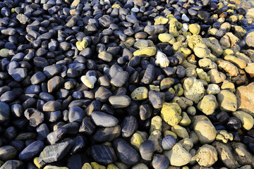 Colorful pebbles touching wave