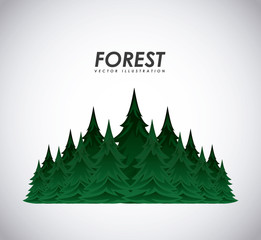 Obraz premium forest landscape