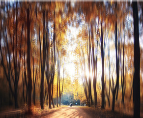 autumn park landscape with trees with yellow foliage