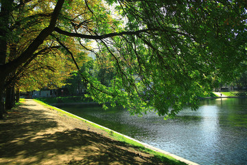 Summer in the city park landscape
