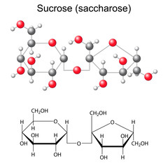 Structural chemical formula and model of sucrose