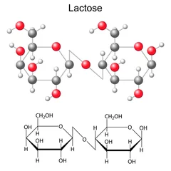 Fotobehang Chemical formula and model of  lactose molecule © logos2012