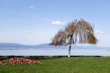 Estavayer bord du lac