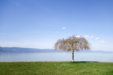 Estavayer-le-lac