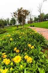 Park in Jiangyin