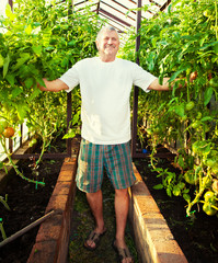 Man grows harvest in the hothouse