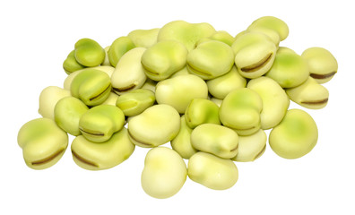 Raw Uncooked Fresh Broad Beans