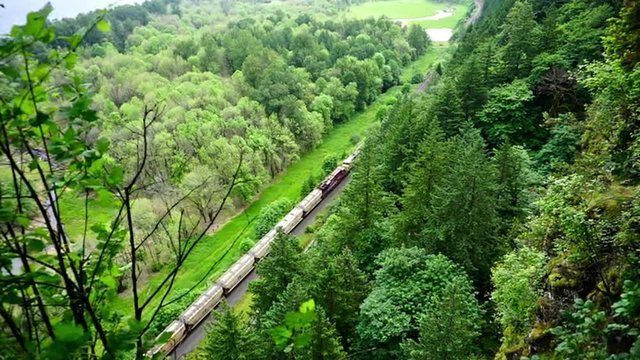 View from above of a train passing below in the Columbia River Gorge in Oregon