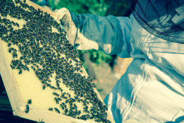Beekeeper