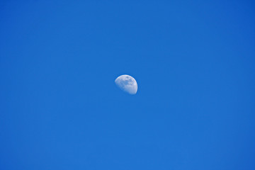 Fototapeta premium beautiful day moon on blue sky