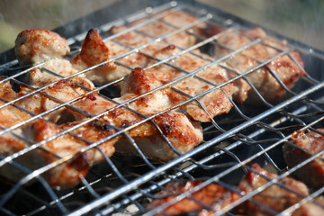 Shish kebab on the grill on the green background.