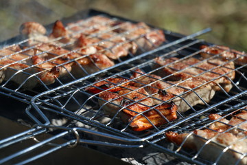 Shish kebab on the grill on the green background.