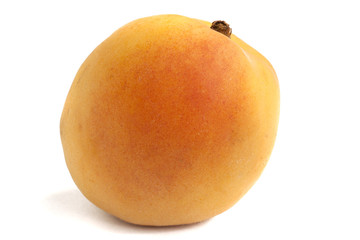 apricot