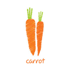 carrot, sketch design vector
