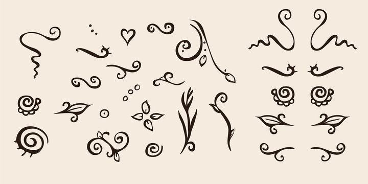Vector set of brown horizontal floral elements and dividers on beige. Page decoration.