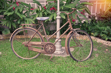 Fototapeta na wymiar Old bicycle in public park vintage style